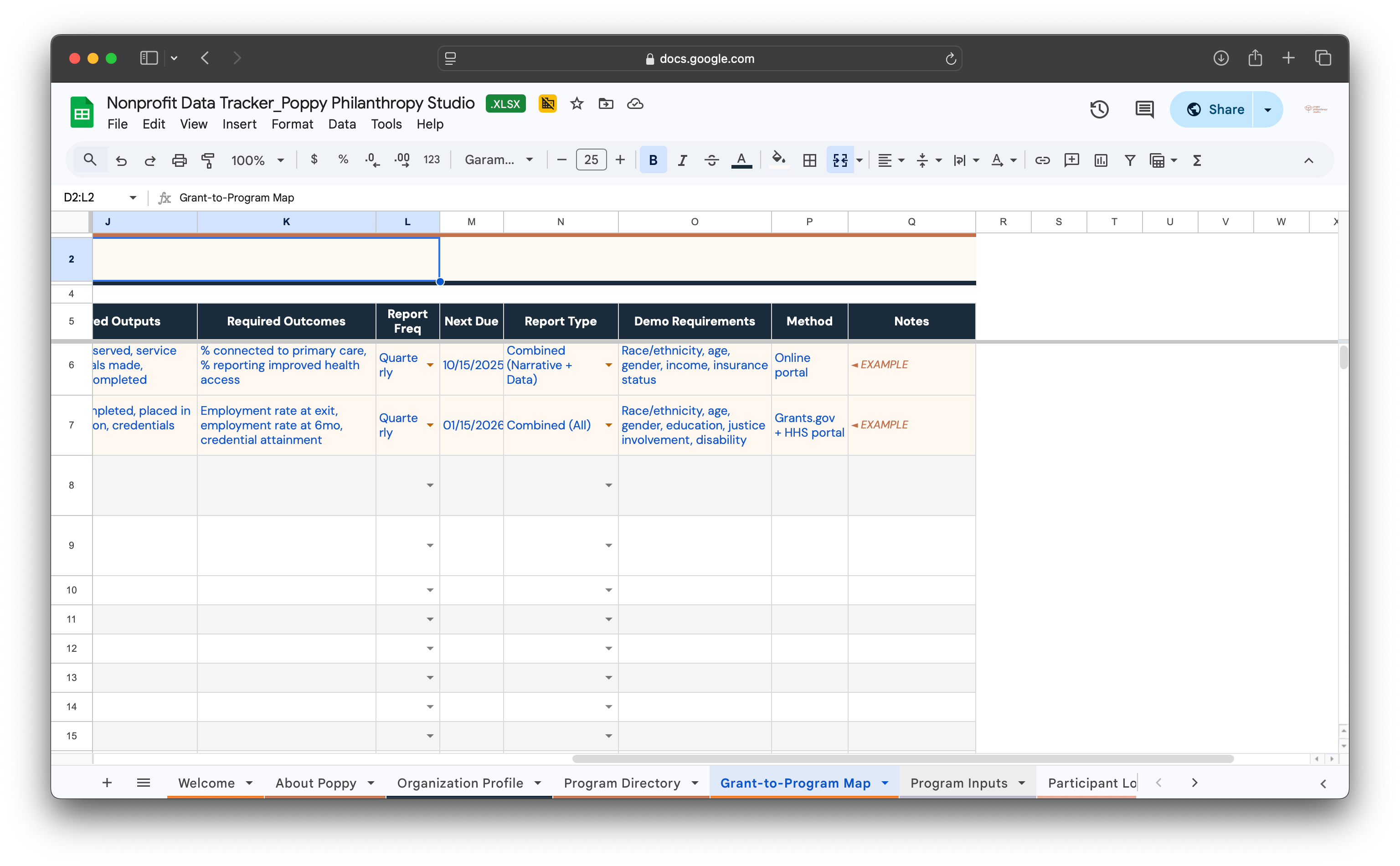 The Program Impact Tracker
